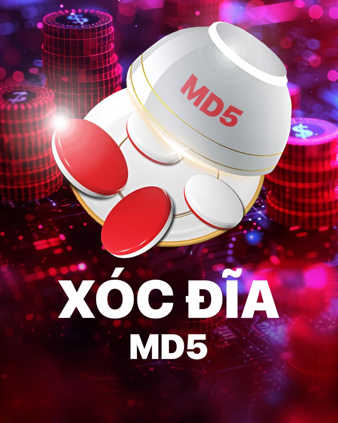 Xóc đĩa MD5
