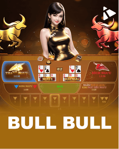Bull Fight